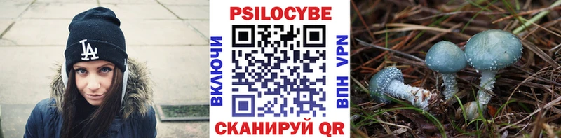 Псилоцибиновые грибы MAGIC MUSHROOMS  Печоры 